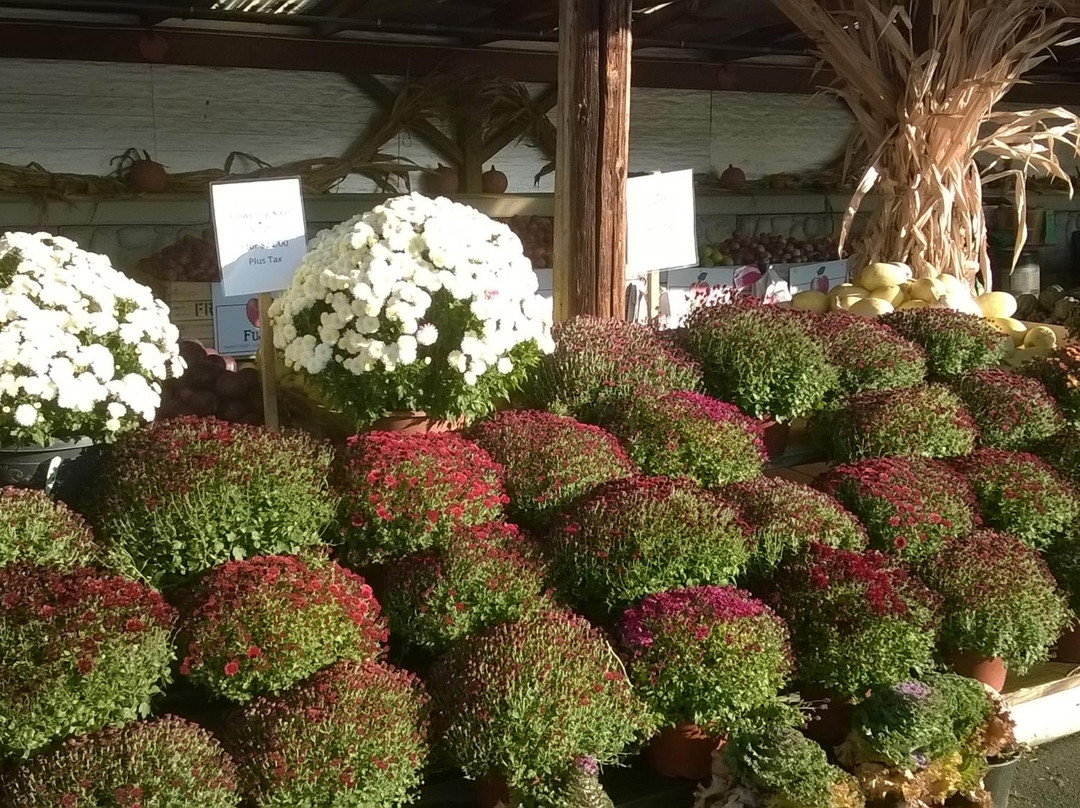 Cider Mill Playhouse-Endicott必去景点