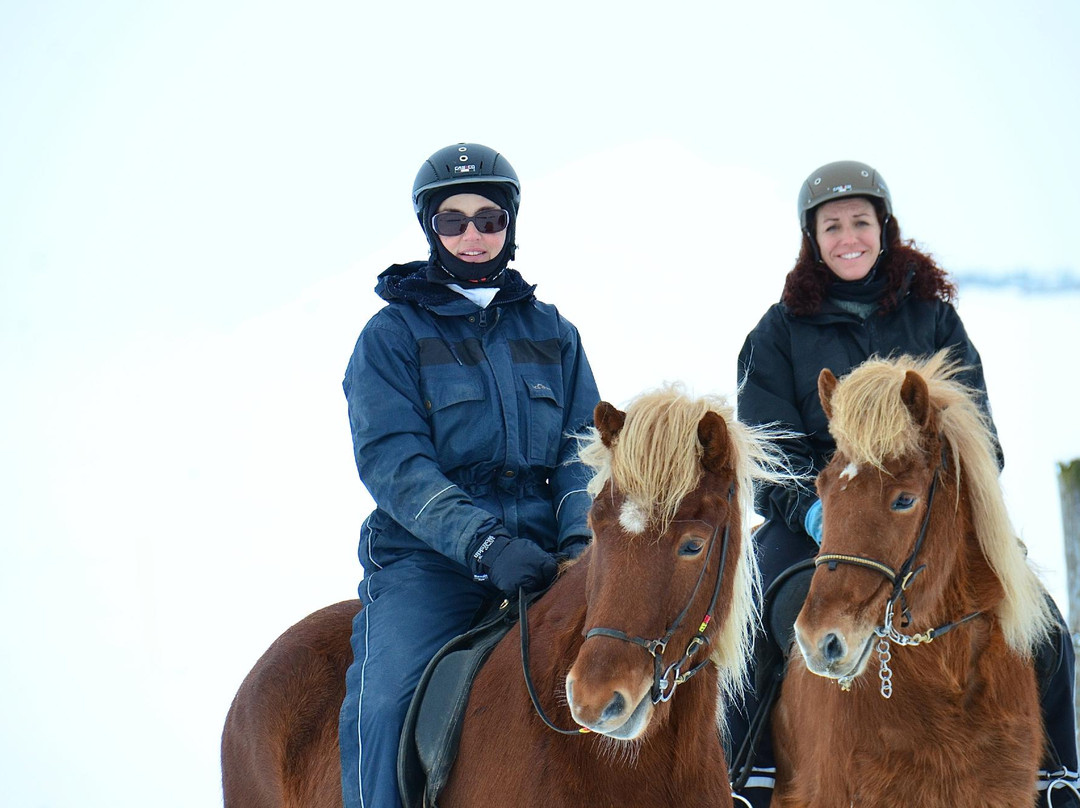 Hestheimar Riding Tours-海拉必去景点