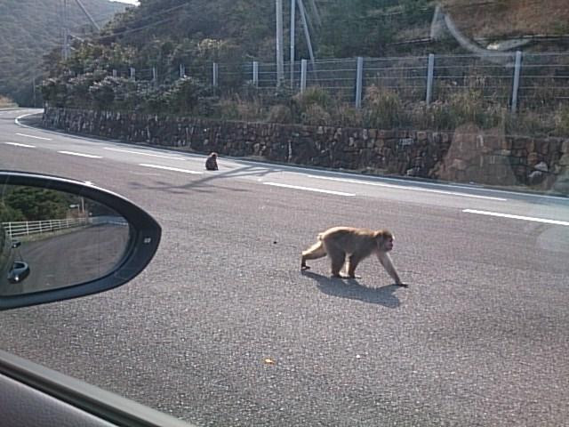 Odo Coast-大月町必去景点