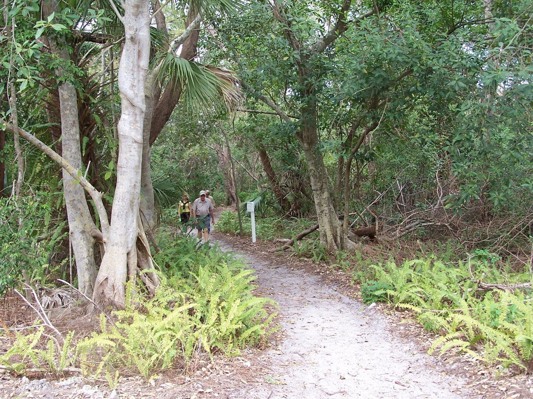 Deerfield Island Park景点图片