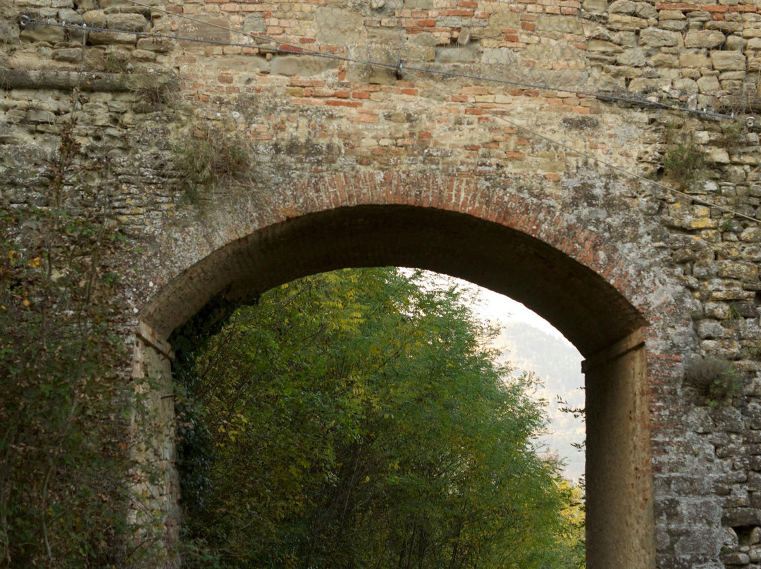 Centro Storico di Modigliana景点图片