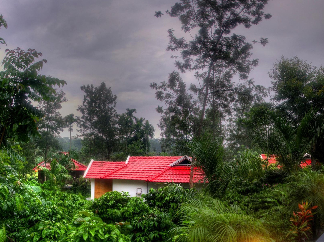 Paddington Resort And Spa, Coorg