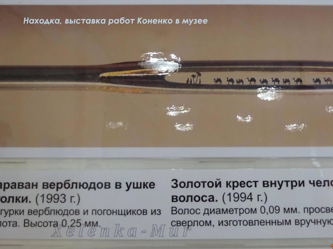 Nakhodka Museum and Exhibition Center-Nakhodka必去景点