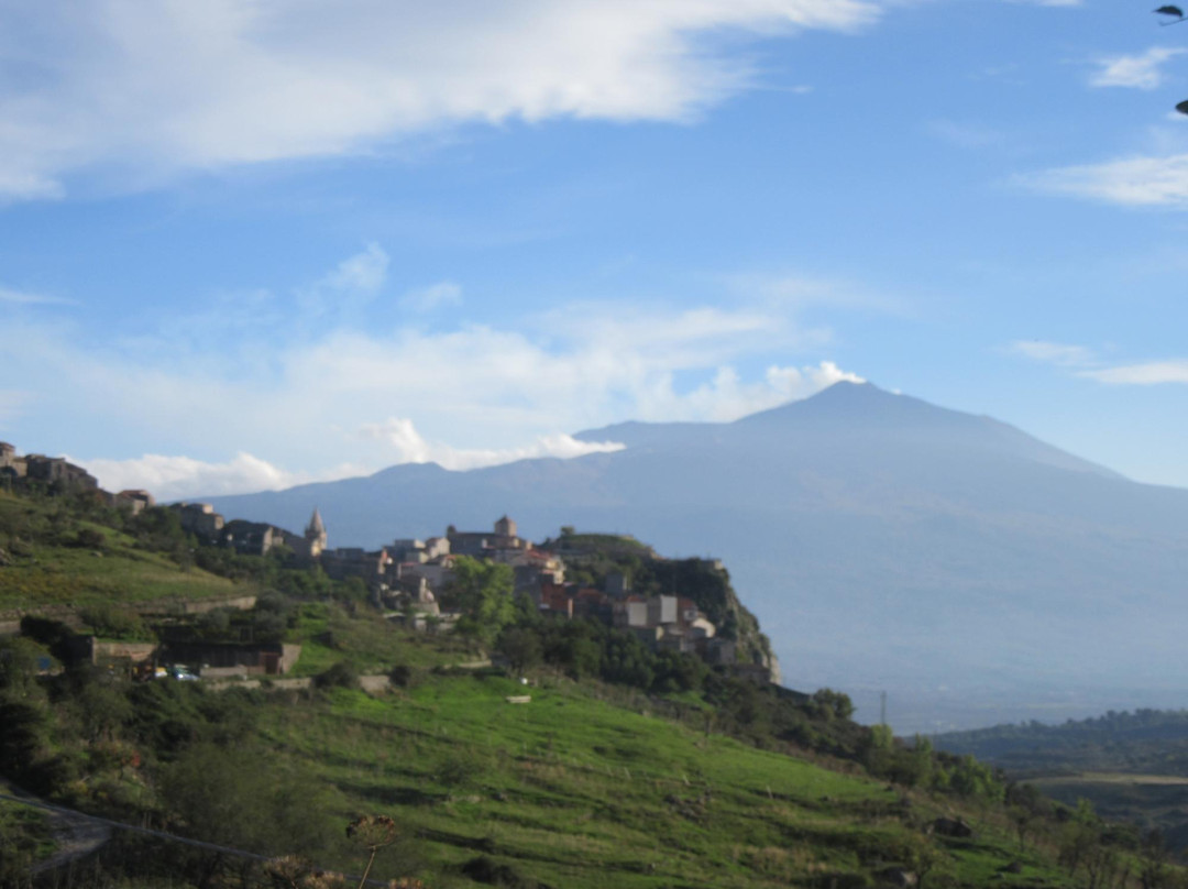 Central Sicily Tour&Transfer-皮亚扎－阿尔梅里纳必去景点
