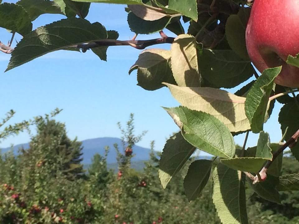 Gould Hill Farm-Contoocook必去景点