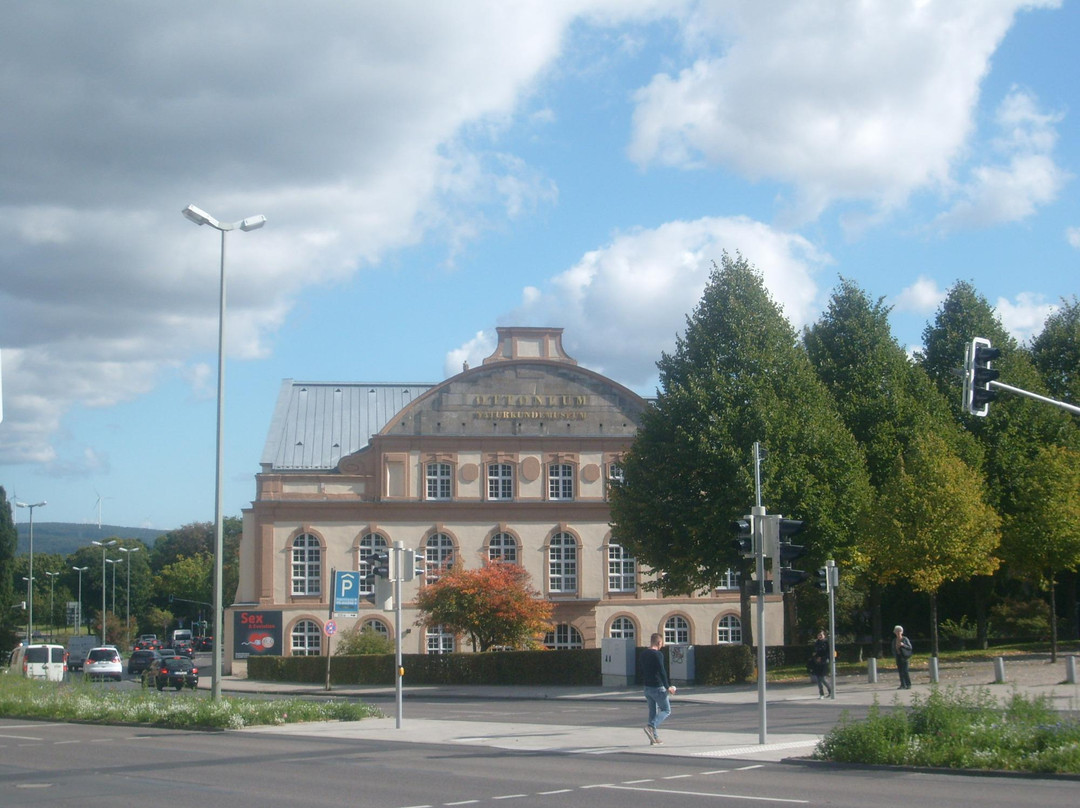 Naturkundemuseum im Ottoneum-卡塞尔行政区必去景点