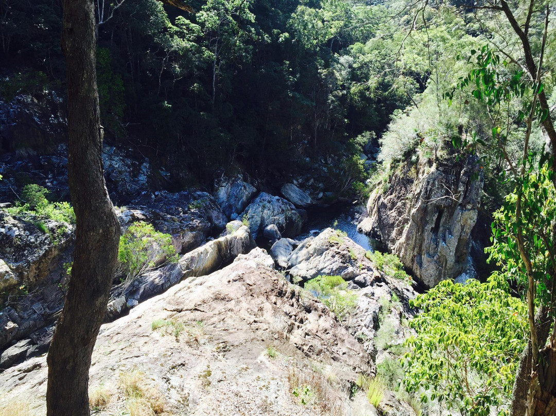 Conondale National Park景点图片