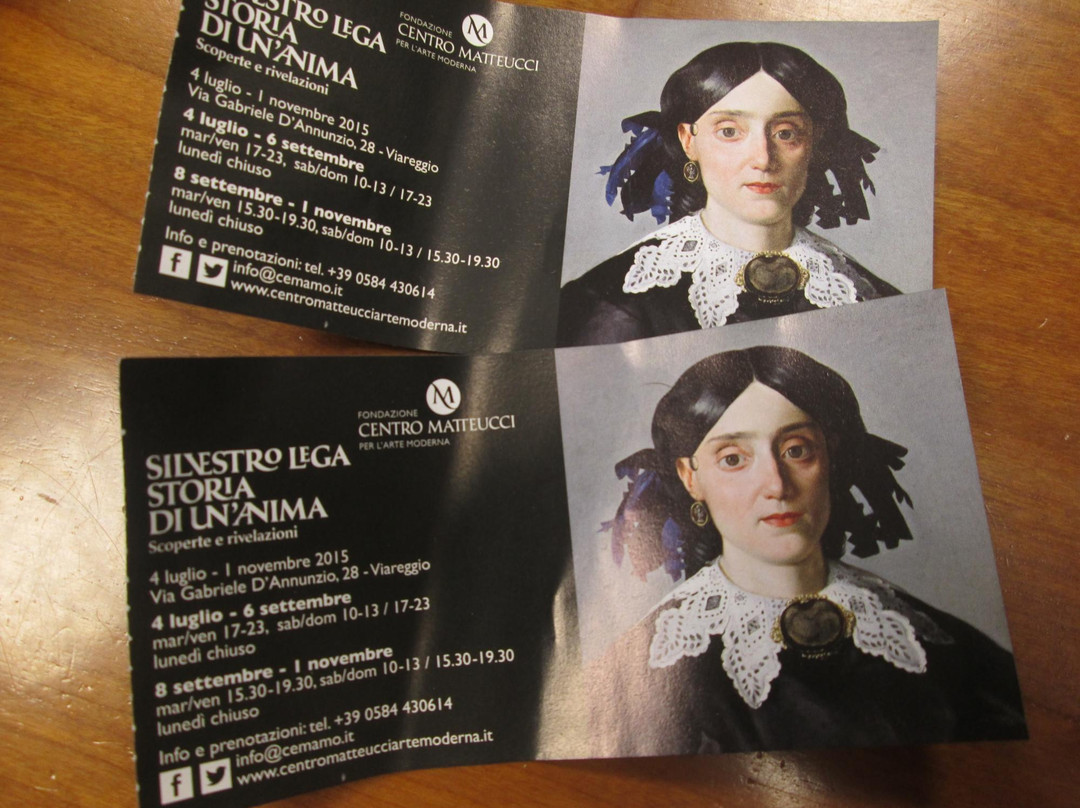 Centro MATTEUCCI-维亚雷焦必去景点