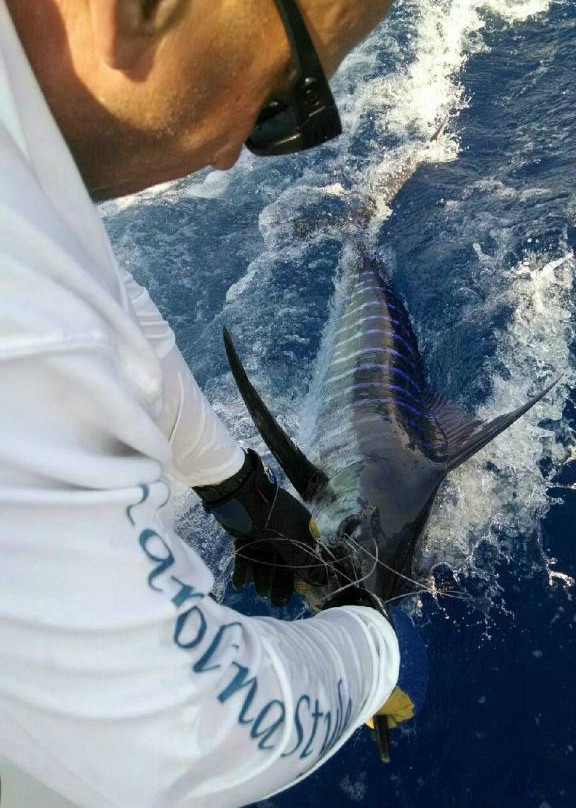 Carolina Style Sportfishing景点图片
