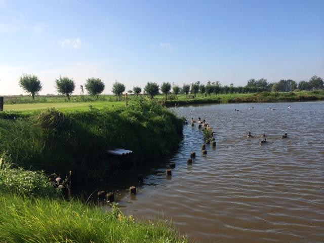 Zaanse Golf Club-Wijdewormer必去景点