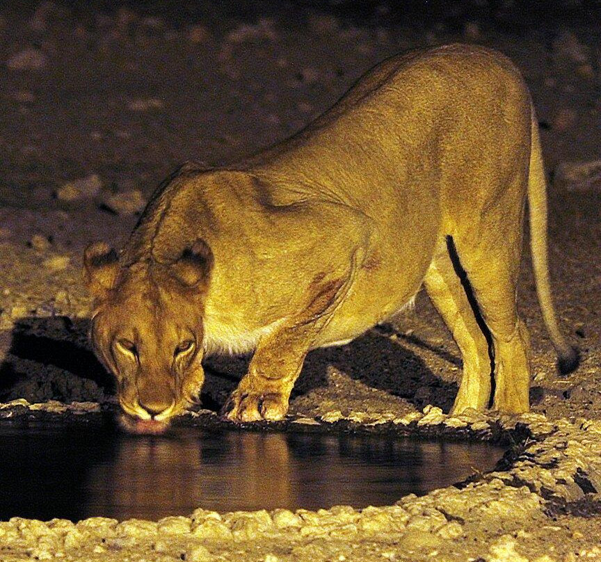Namibia Reservations-奥奇瓦龙戈必去景点