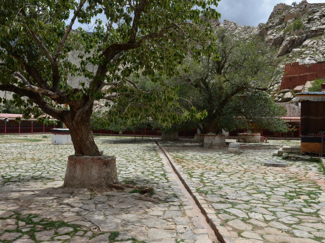 平措林寺-拉孜县必去景点