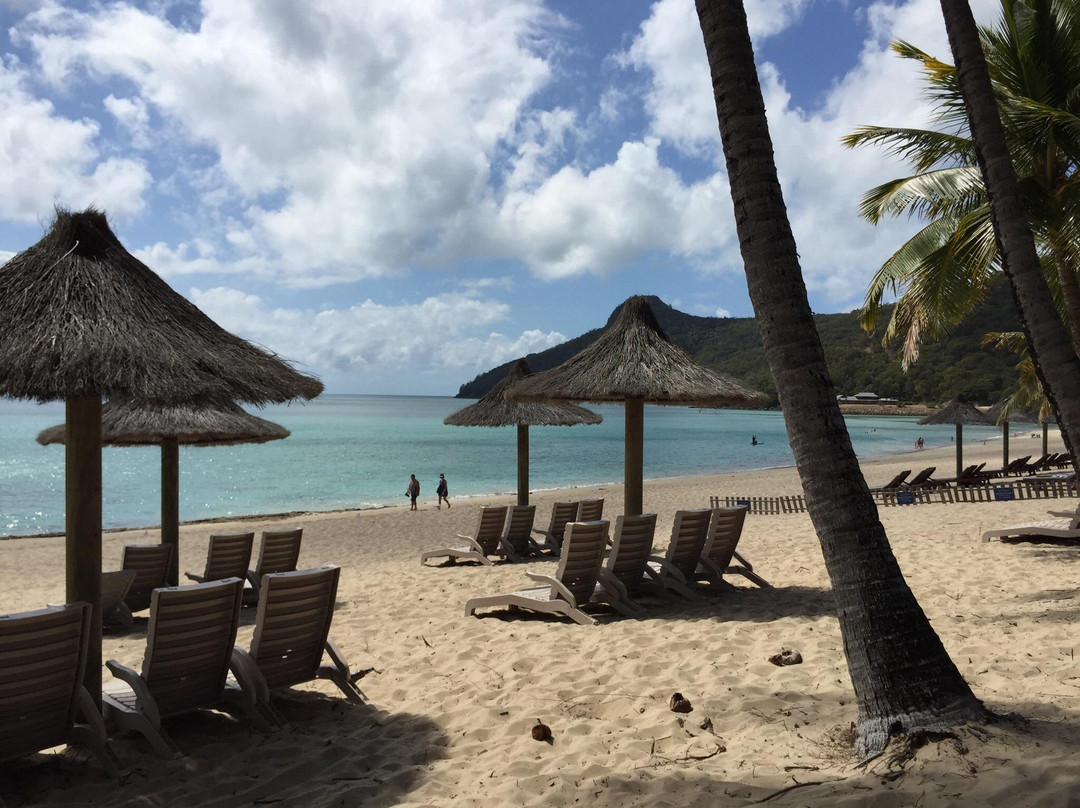 猫眼海滩-汉密尔顿岛必去景点