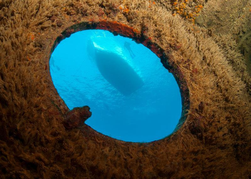 Octopus Diving-格兰德凯斯必去景点