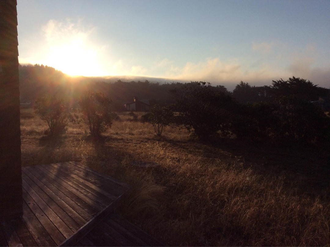 Gualala Bluff Trail景点图片