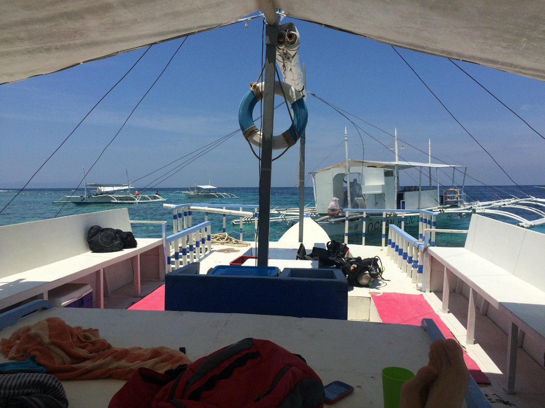 Spindrift Reefs Dive Center - Day Dive-达瑙市必去景点