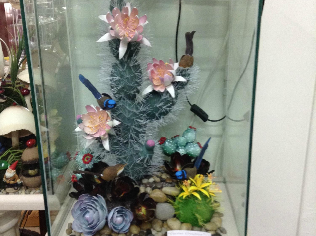 Imperial Egg Gallery-Beaufort必去景点