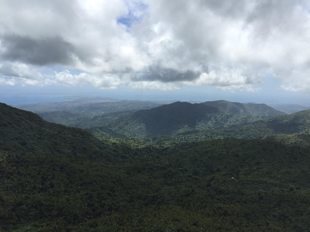 Mt. Britton Lookout Tower-Rio Grande必去景点