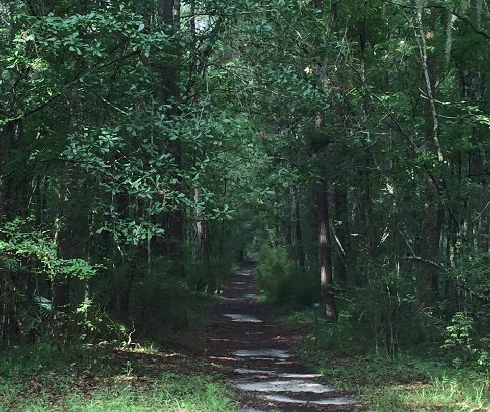 Savannah-Ogeechee Canal Museum and Nature Center-萨凡纳必去景点