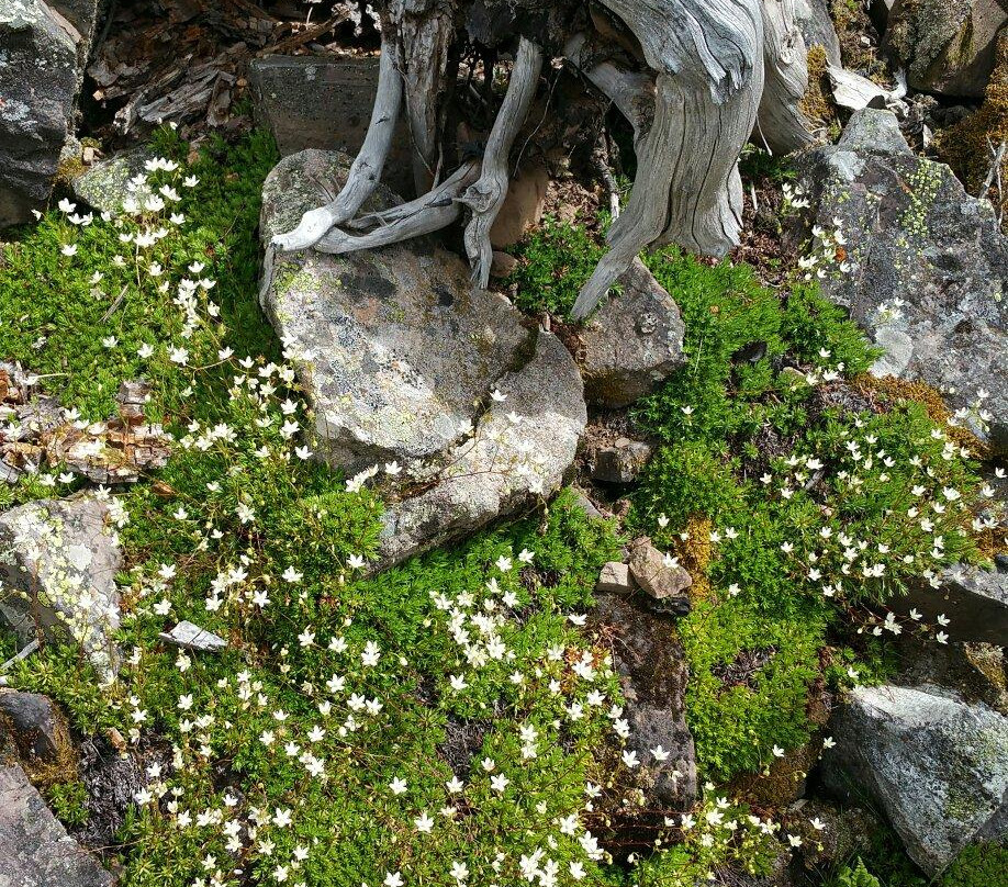 East Maroon Trail-阿斯蓬必去景点