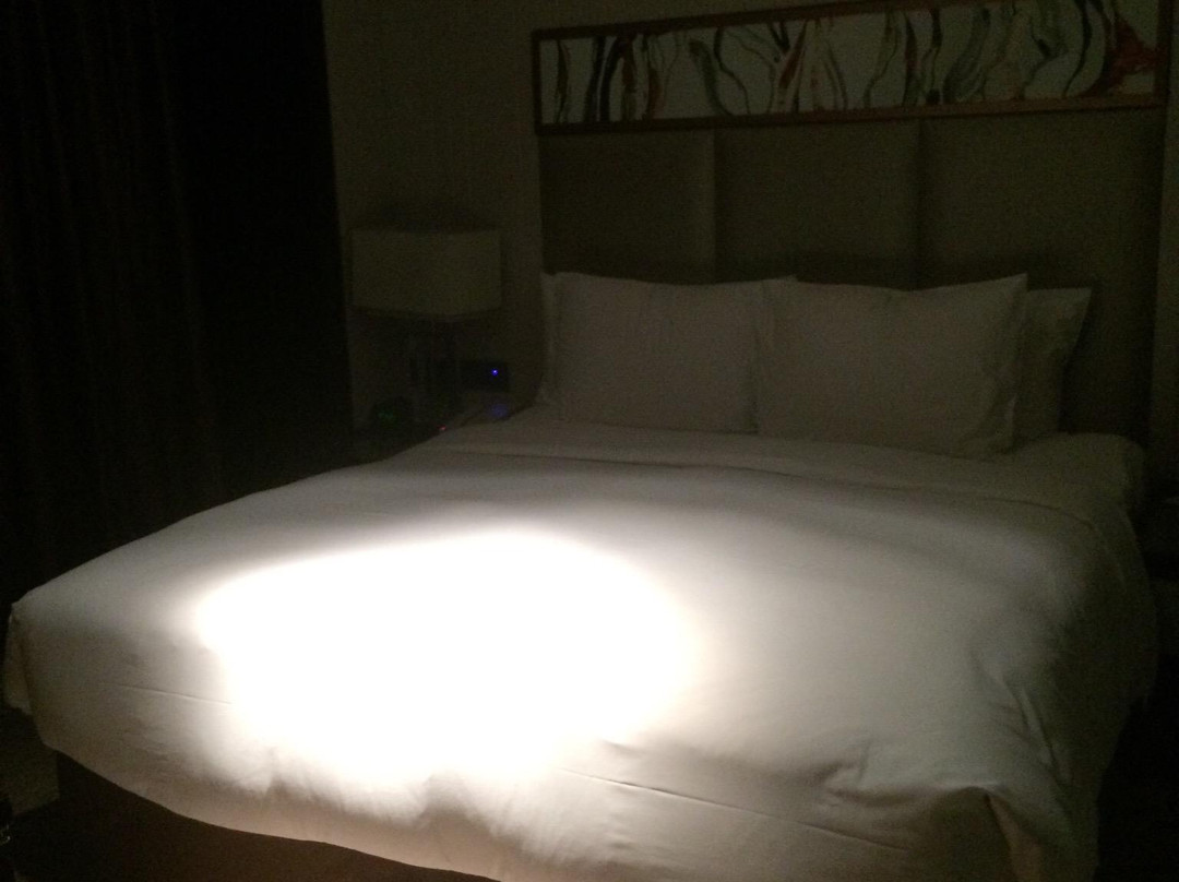 长春艾博丽思大饭店主图