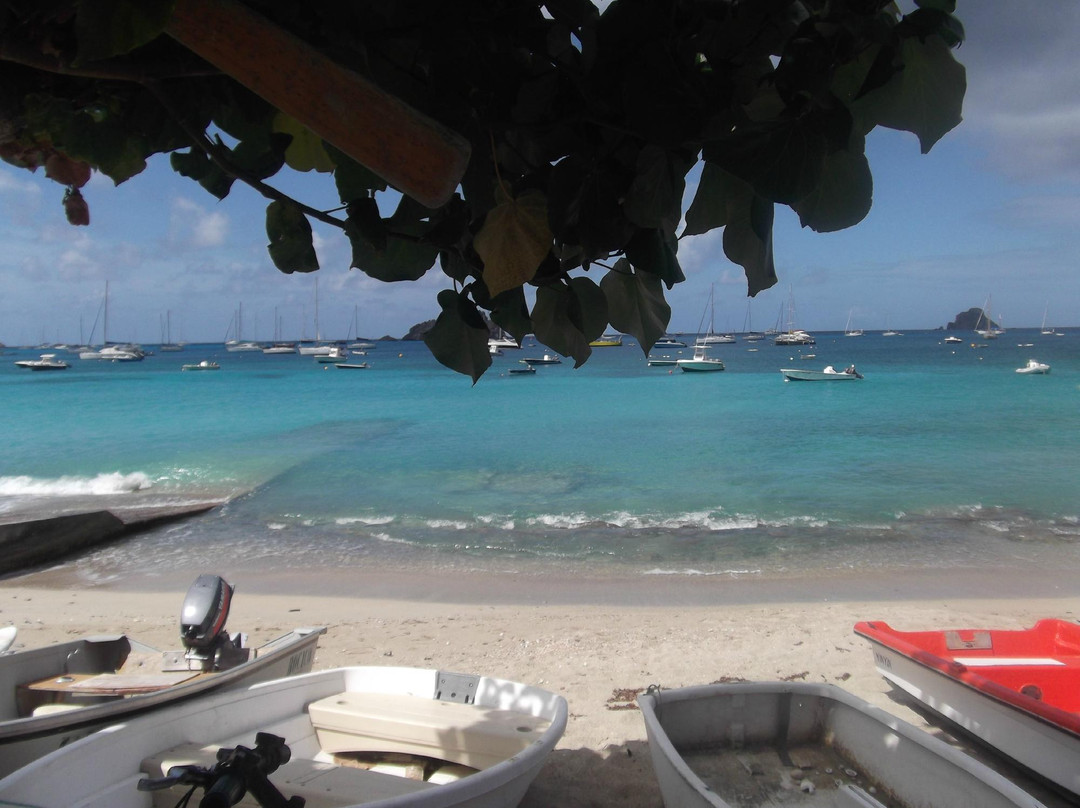 Corossol-圣巴托洛缪岛必去景点