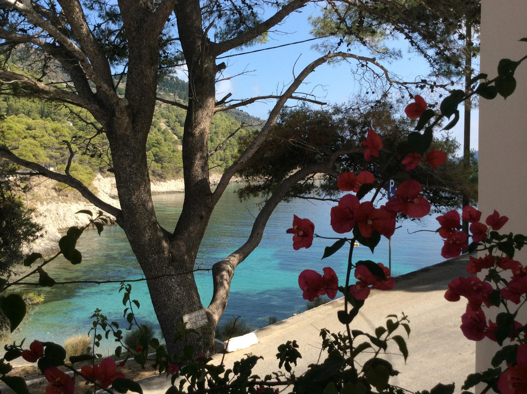 Assos-阿索斯必去景点