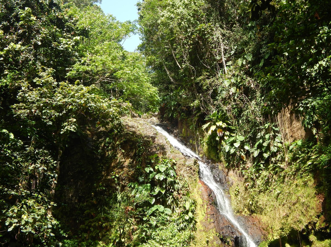 Saut de Bras de Fort景点图片