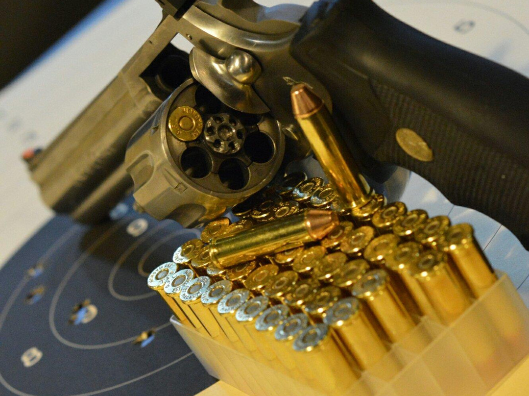 Tactical Shooting Range景点图片
