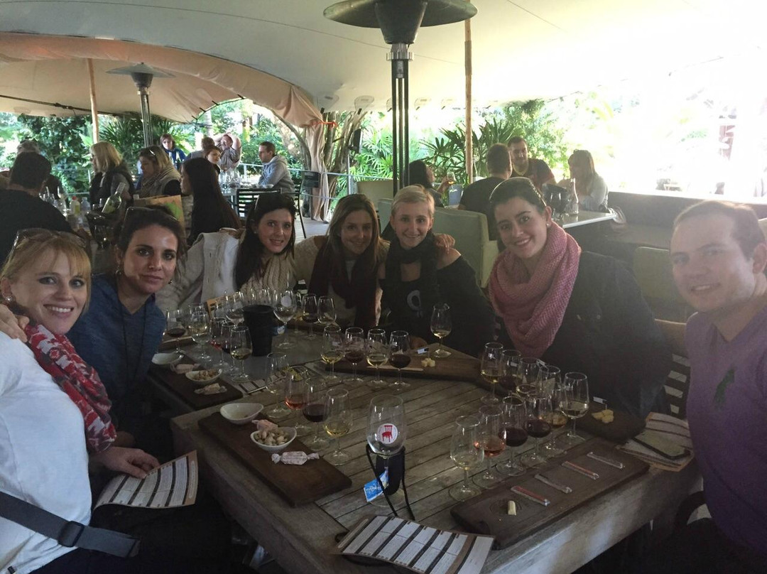 Cape Personalised Tours-开普敦中心区必去景点