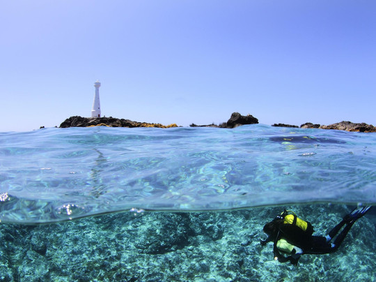 Golden Sail - Azores Yacht Charter-波尔图镇必去景点