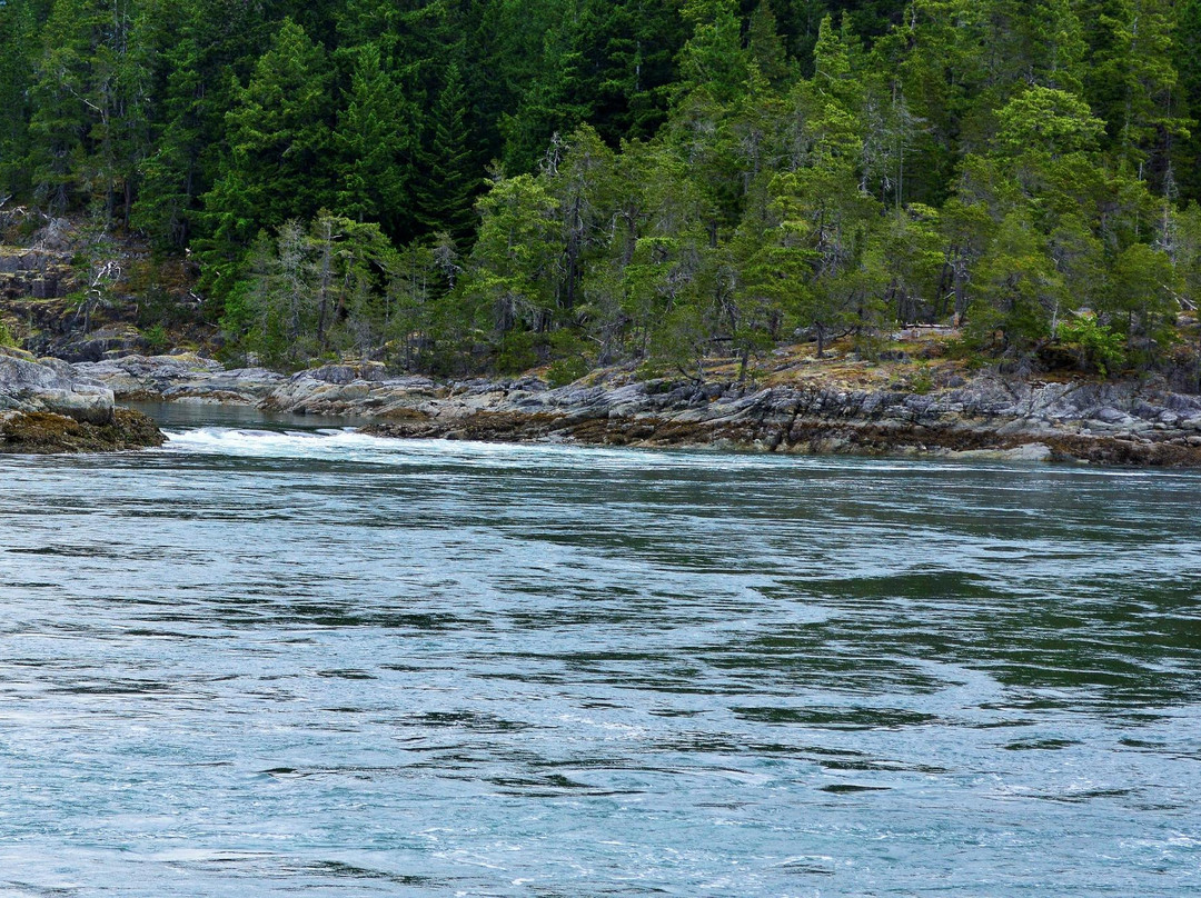 Surge Narrows Provincial Park-Surge Narrows必去景点