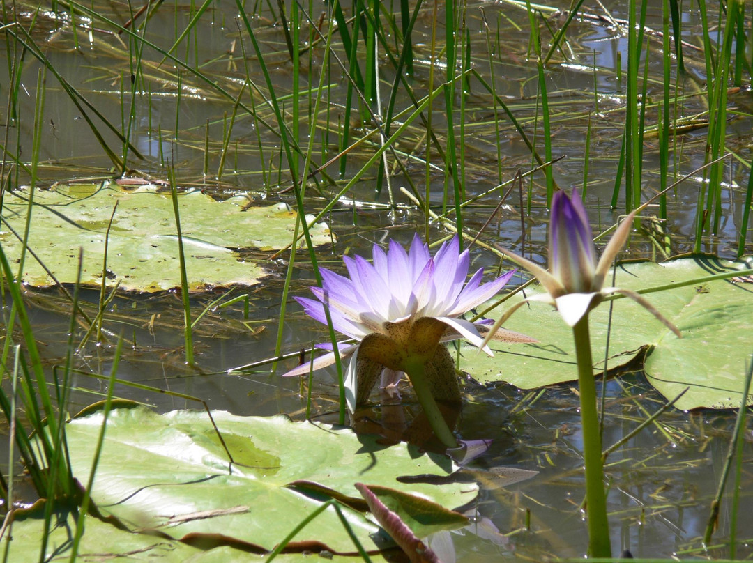 Off Road Adventure Safaris-Bamaga必去景点