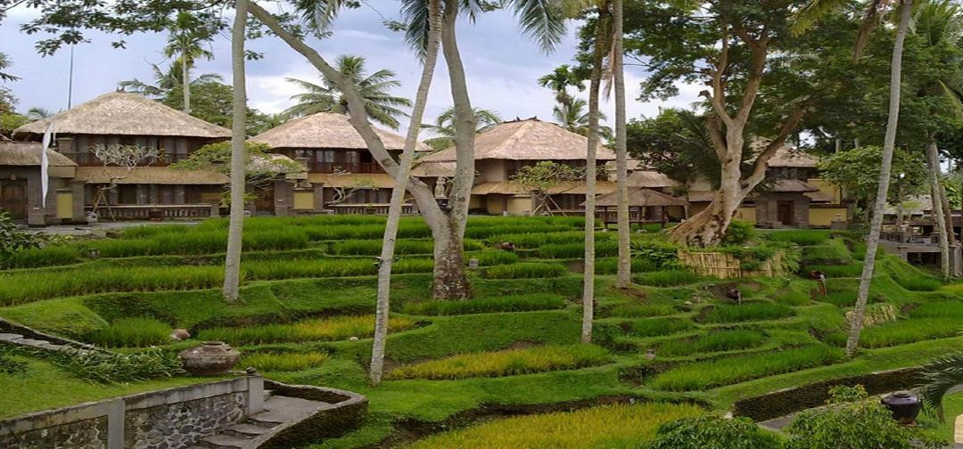 Enbali - Day Tours-登巴萨必去景点