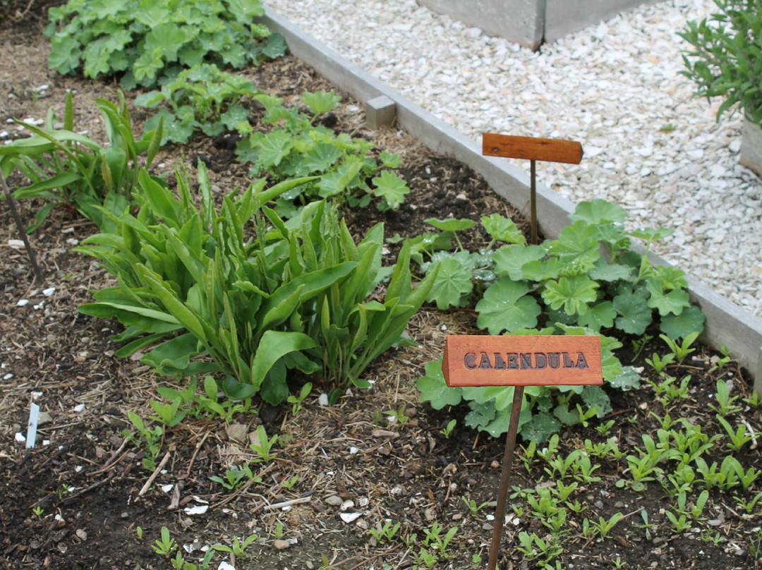 Prescott Farm-米德尔敦必去景点