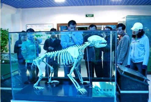 陕西佛坪国家级自然保护区-佛坪县必去景点