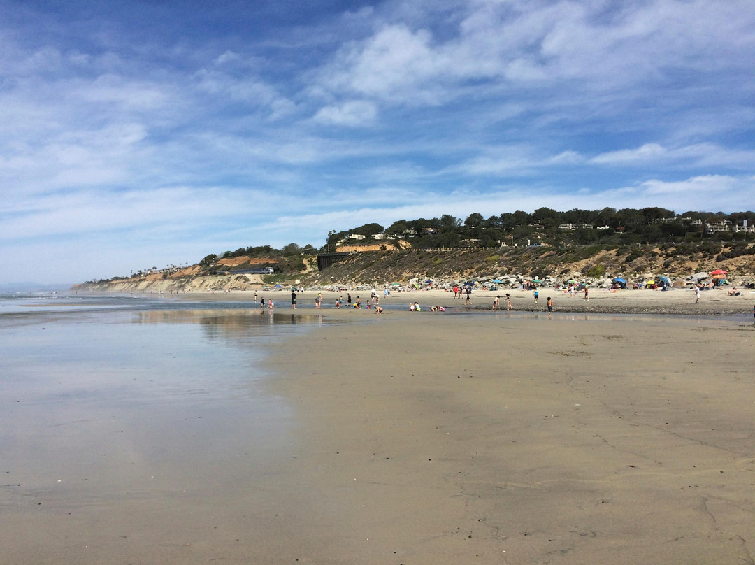 Torrey Pines State Beach-圣地亚哥必去景点