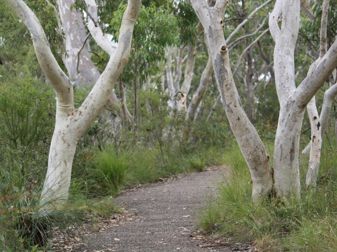 Bulgandry Aboriginal Engraving Site-Kariong必去景点
