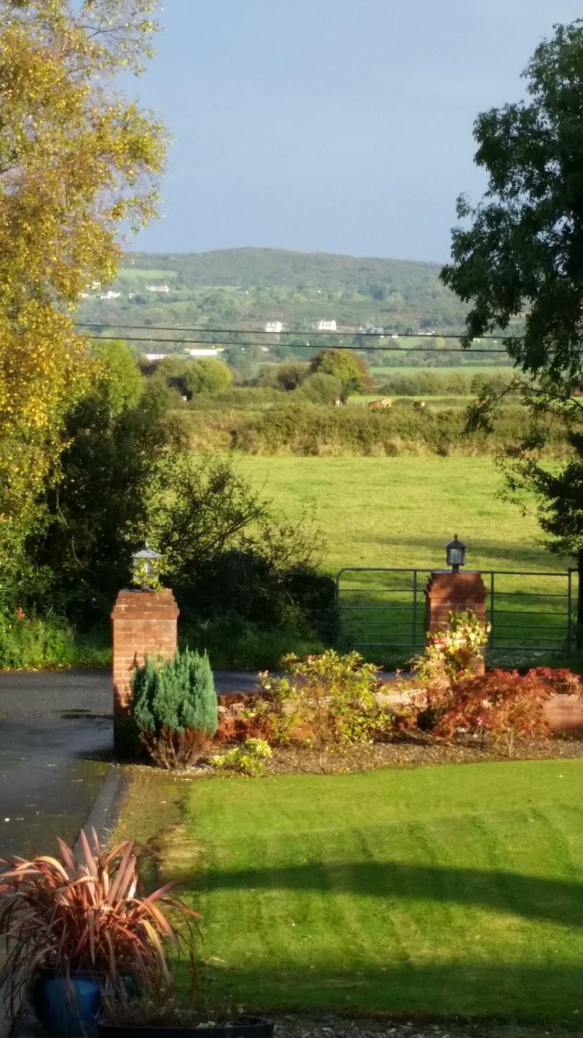 Bunratty Heights Bed and Breakfast-酒店景观