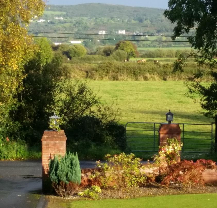 Bunratty Heights Bed and Breakfast主图