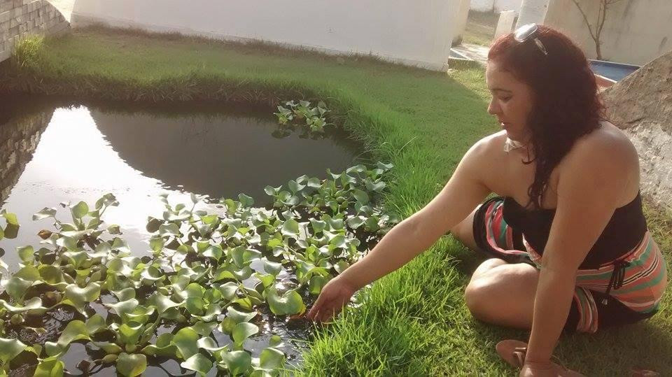 Pousada do Inglês主图