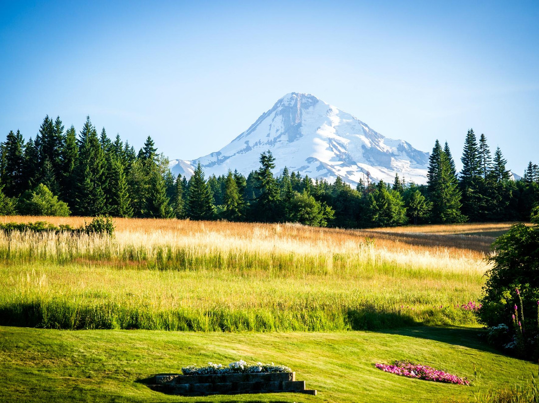Parkdale酒店住宿-Mt. Hood Bed and Breakfast