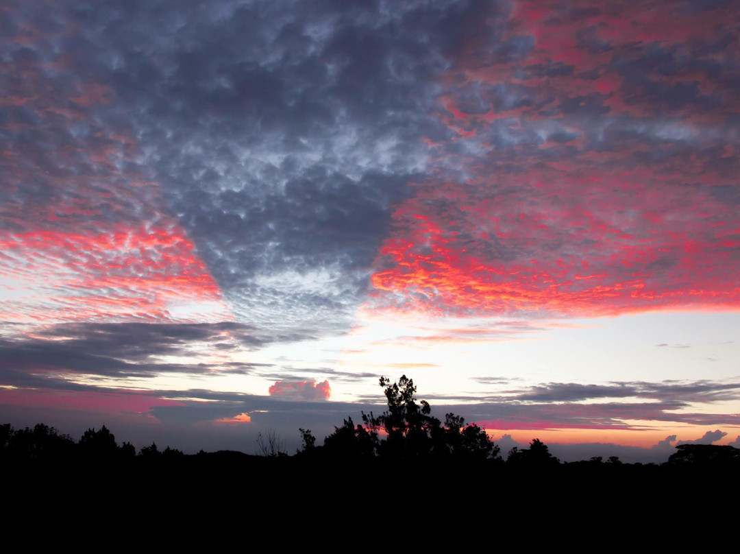 Casa Campo Verde主图