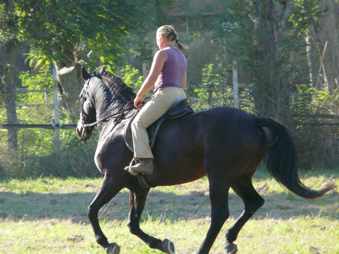 Hills and Trails-Murci必去景点