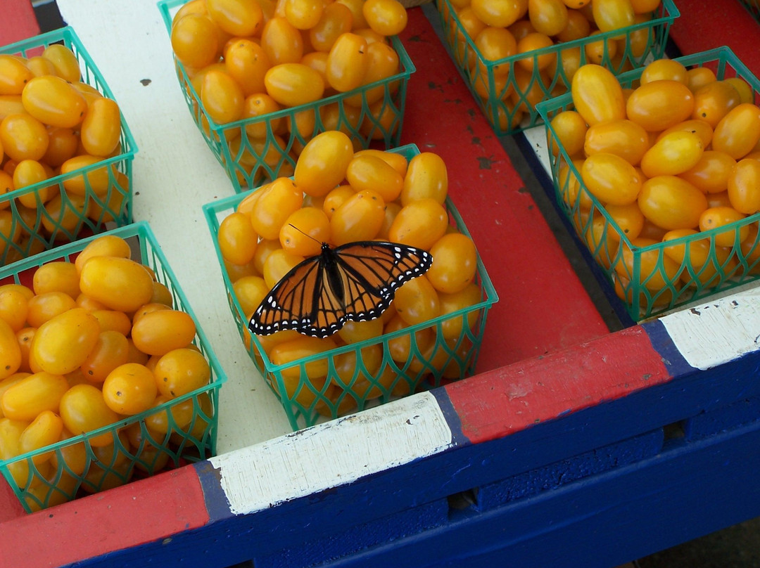 Fruit Acres Farm Market and U-Pick-Coloma必去景点