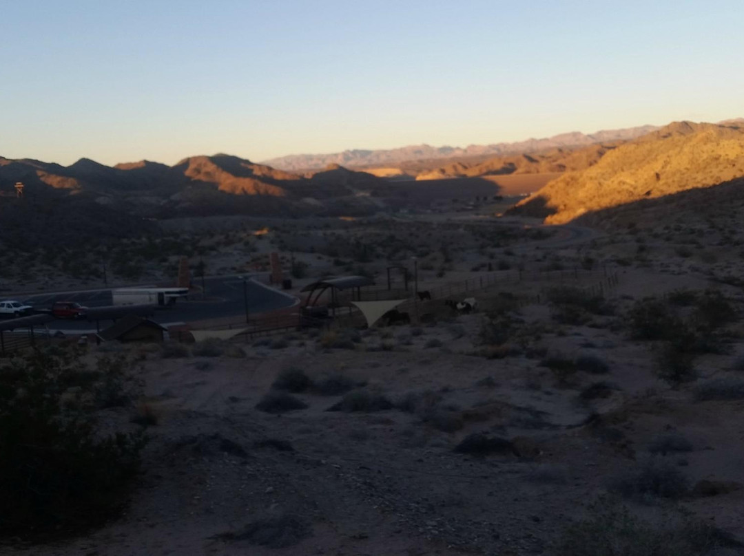 Pot A Gold Stables-拉芙琳必去景点