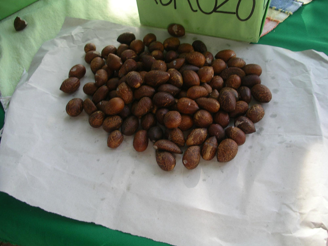 Mercado Orgánico Huatulco-Crucecita必去景点