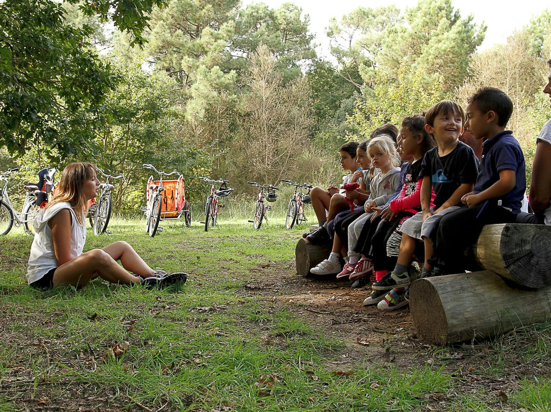 Cyclescapade-Labenne必去景点