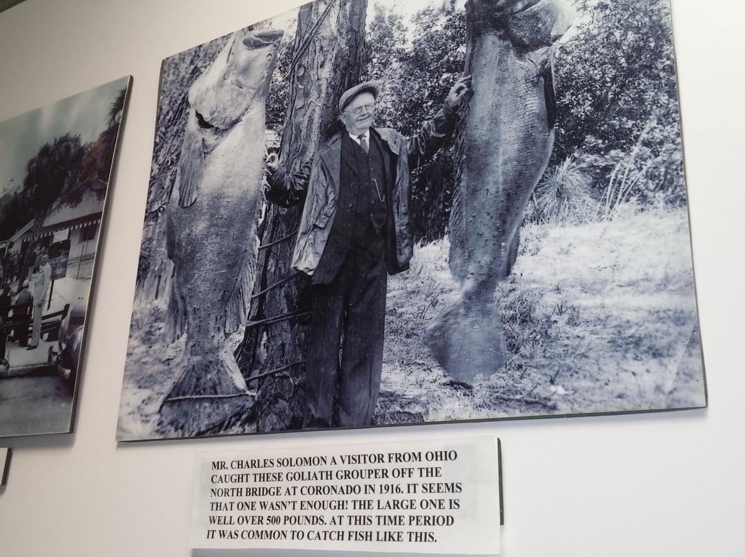 New Smyrna Museum of History景点图片