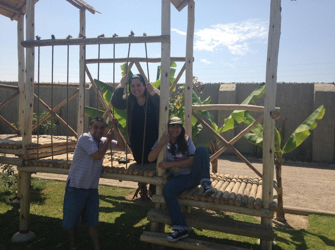 Buena Vista Casa Hotel主图